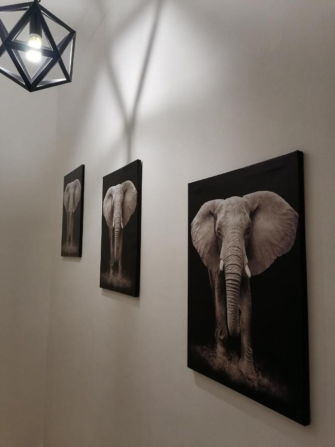 Vichy Nests Hotel Windhoek Ngoại thất bức ảnh